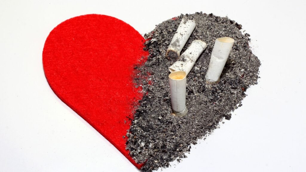 The Impact Of Smoking On Heart Health Cardiac Surgery Online Help Website 7295